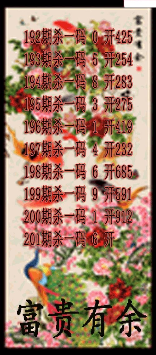 富贵有余杀码