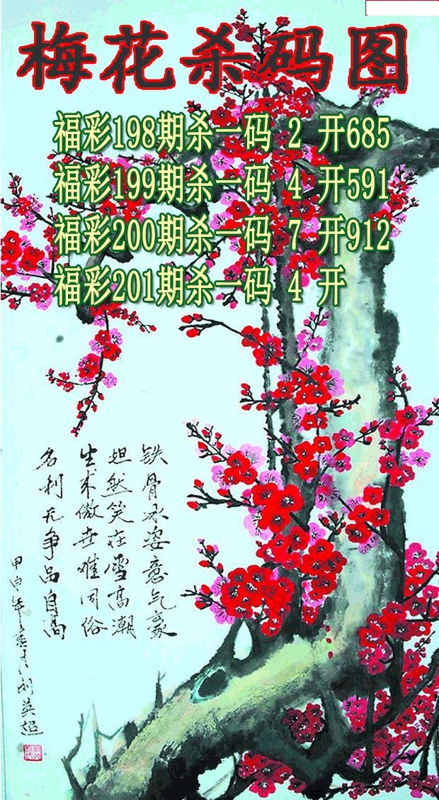 梅花杀码