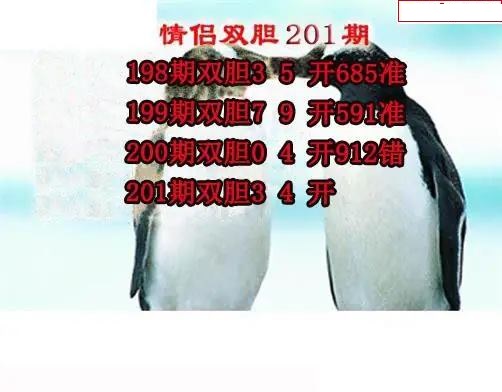情侣双胆