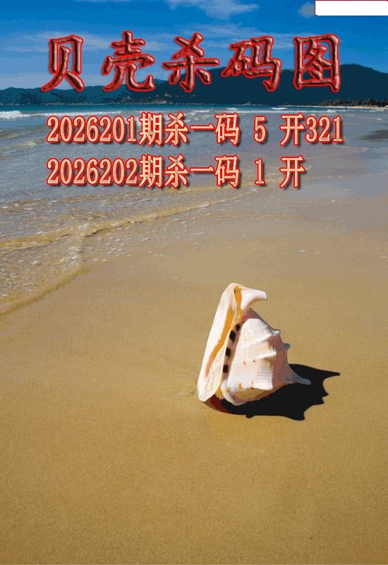 贝壳杀码