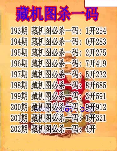藏机图杀码