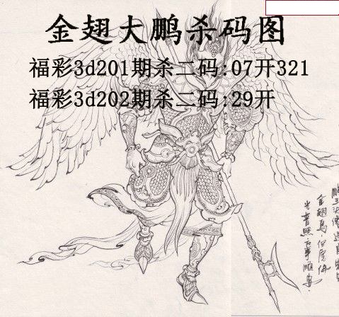 金翅大鹏杀码