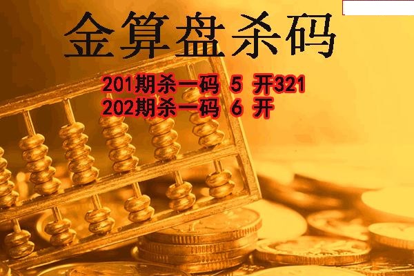 金算盘杀码