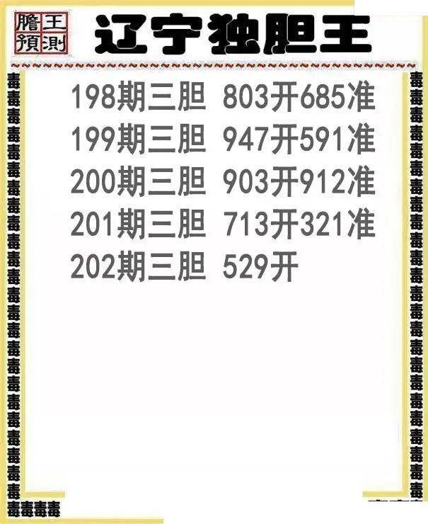 辽宁独胆王