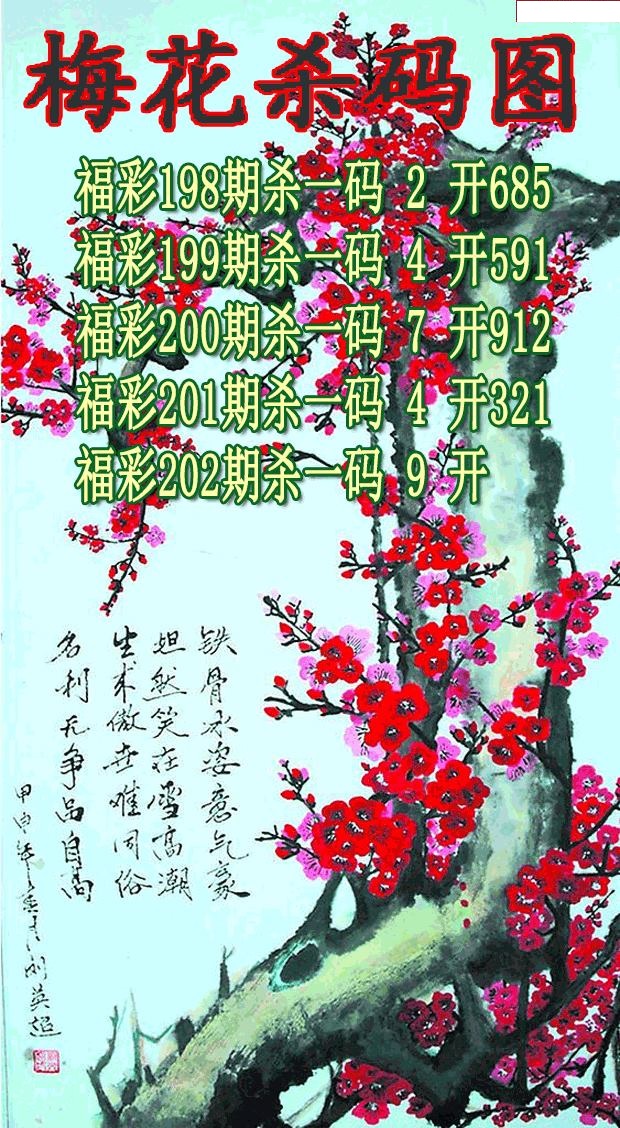 梅花杀码