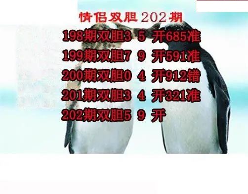 情侣双胆
