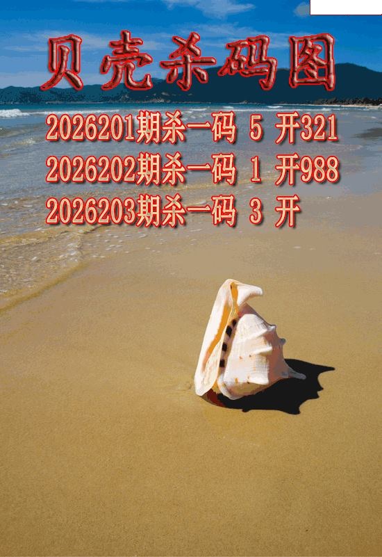 贝壳杀码