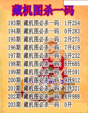 藏机图杀码