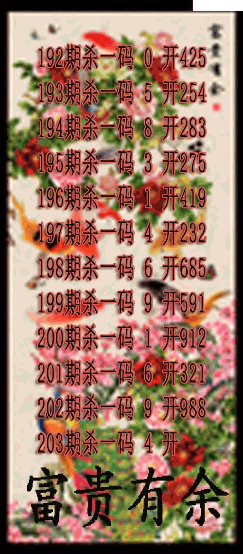 富贵有余杀码