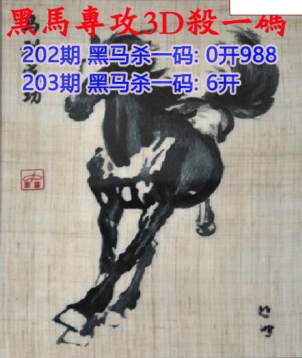黑马杀码