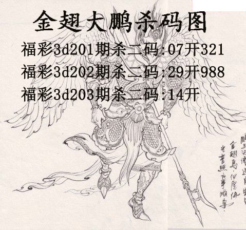 金翅大鹏杀码
