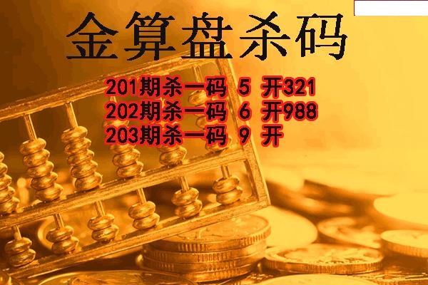 金算盘杀码