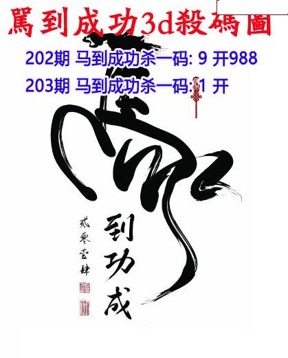 马到成功杀码