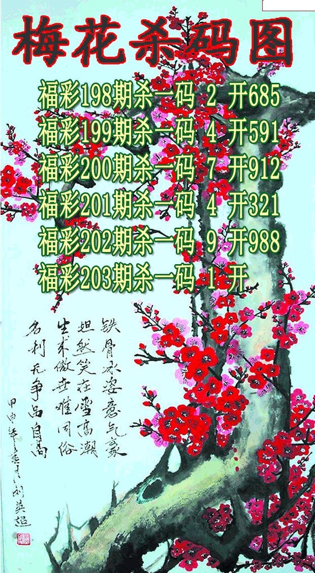 梅花杀码