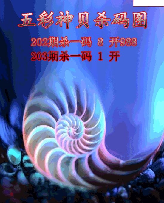 五彩神贝杀码