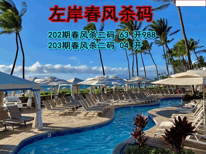 左岸春风杀码