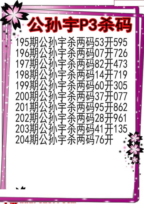 公孙宇杀码图