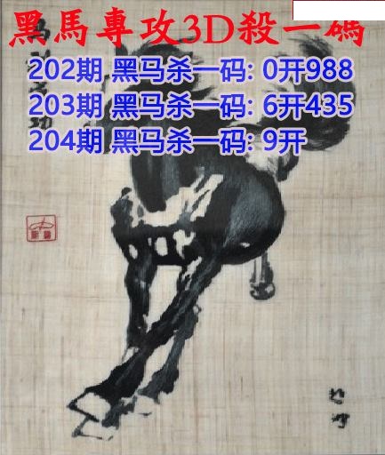 黑马杀码