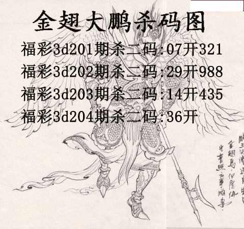 金翅大鹏杀码