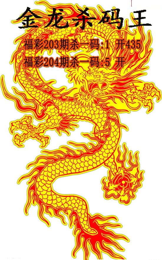 金龙杀码王