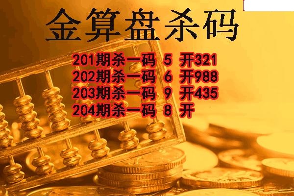 金算盘杀码