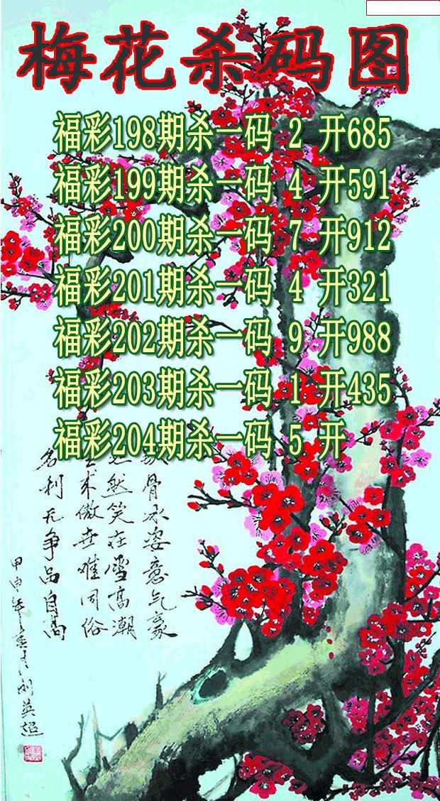 梅花杀码