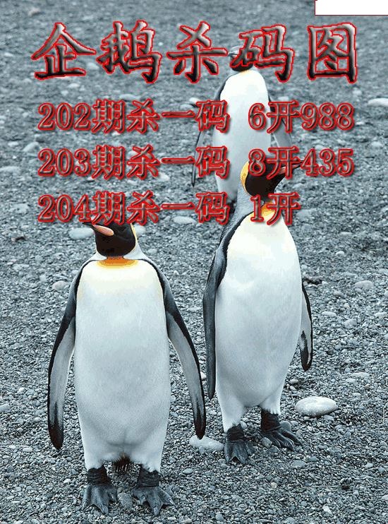 企鹅杀码