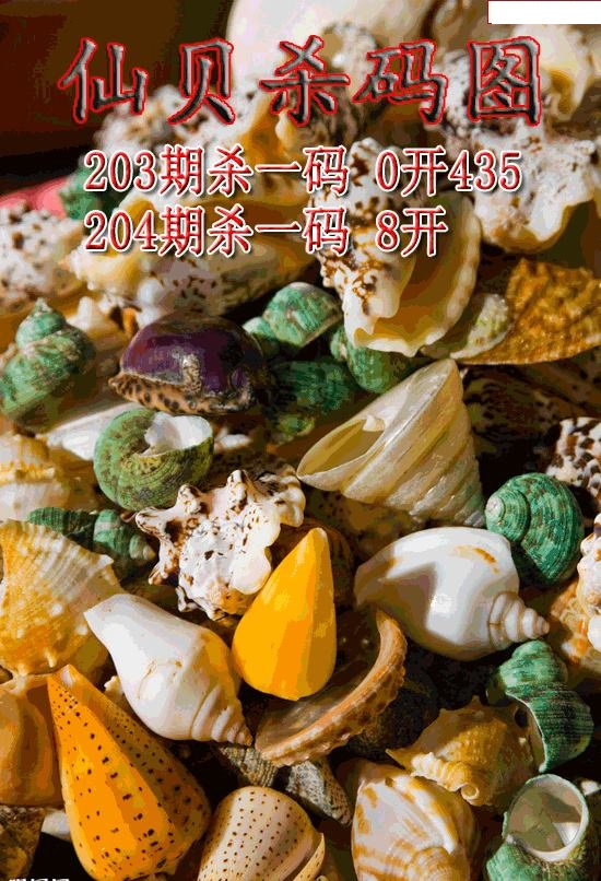 仙贝杀码