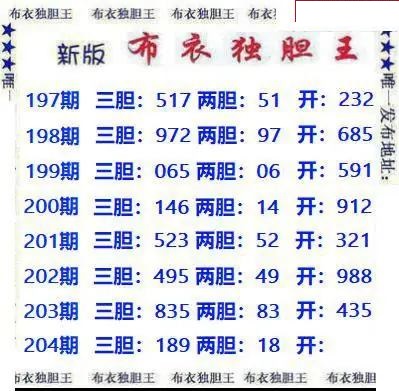 新版布衣独胆王