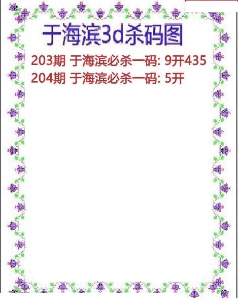 于海滨杀码