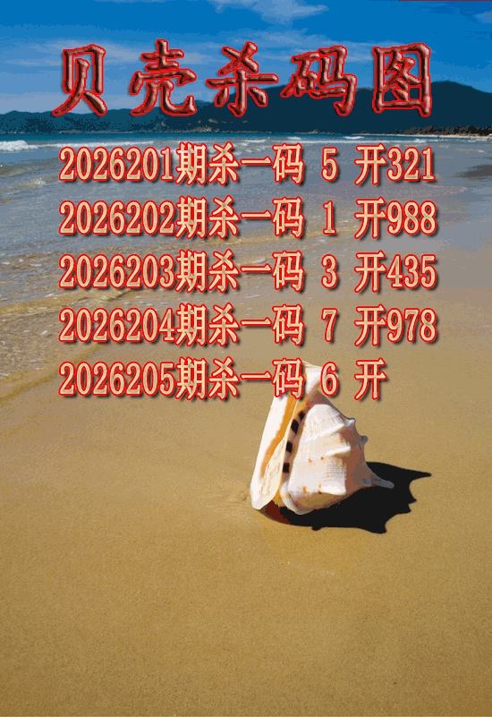贝壳杀码