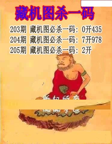 藏机图杀码