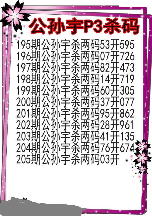 公孙宇杀码图