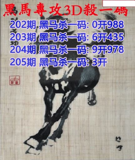 黑马杀码