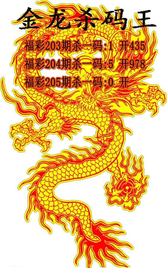 金龙杀码王