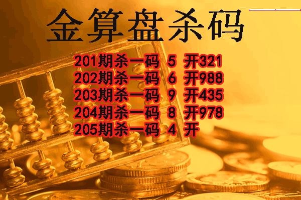 金算盘杀码