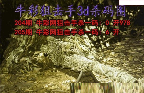 牛彩狙击手杀码