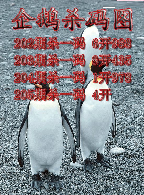 企鹅杀码