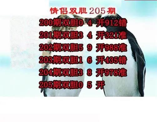 情侣双胆