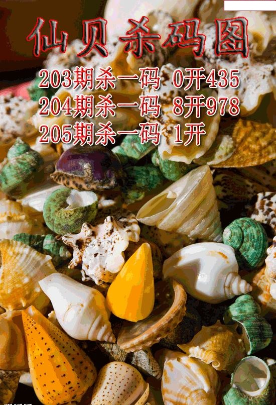 仙贝杀码