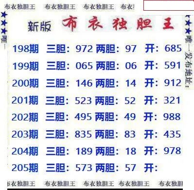 新版布衣独胆王