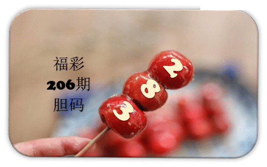串串胆码图
