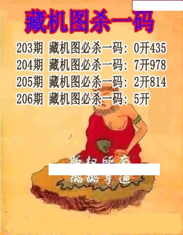 藏机图杀码