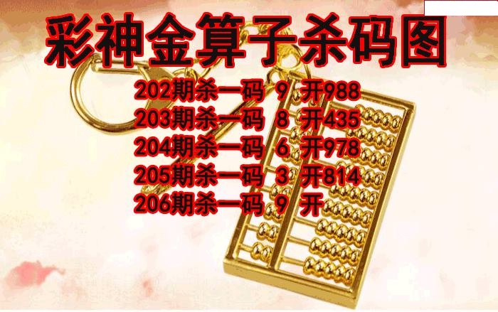 彩神金算子杀码