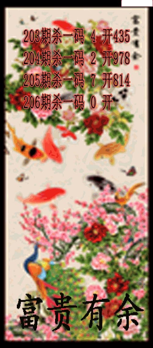 富贵有余杀码