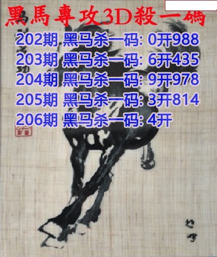 黑马杀码