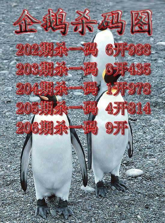 企鹅杀码