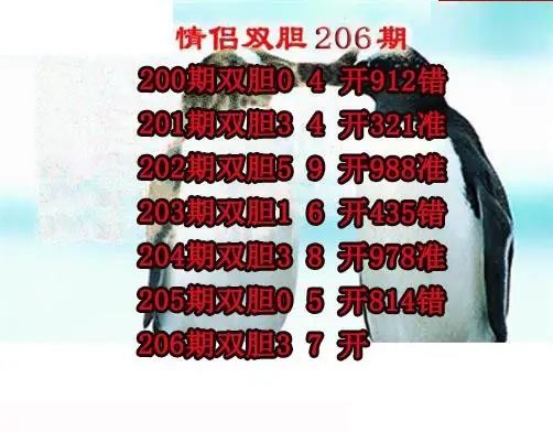 情侣双胆