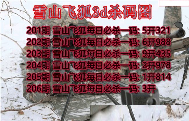 雪山飞狐杀码
