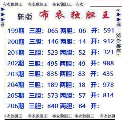 新版布衣独胆王